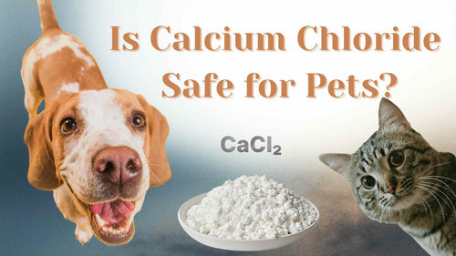Calcium Chloride Safe for Pets